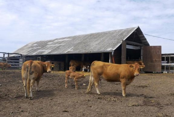 Erdély legjei – Szatmár megye: a LEADER-program (VIDEÓ)