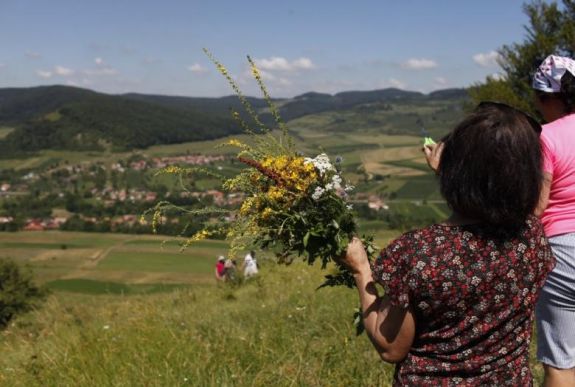 Homoktövis, cickafark, citromfű és csipkebogyó – ismerje meg az Erdélyben fellelhető gyógynövényeket