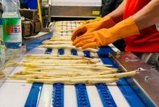 Arad, Temes, Bihar és Brassó megyében találták a legtöbb feketemunkást