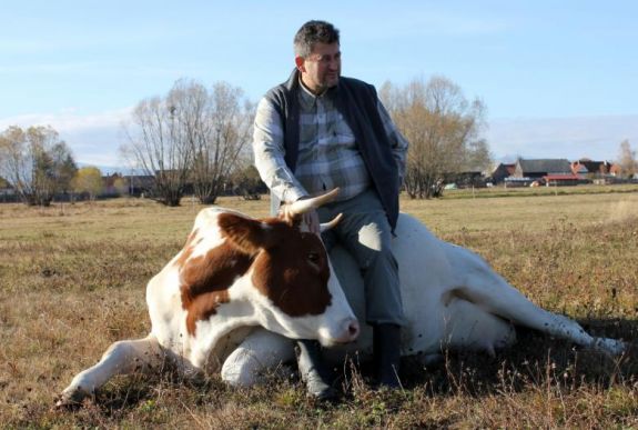 „Parasztnak lenni nem is egyszerű” – Bányász József gazda munkatársa a tehén, munkahelye a természet