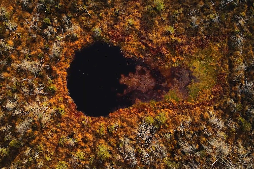 Erdély legjei – Hargita megye: a Mohos-tőzegláp