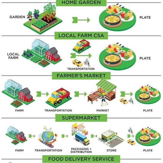 Infografika arról, hogy hogyan kerülhetnek a friss termékek az asztalunkra, a legrövidebb úttól a leghosszabbig | Forrás: a Nod Verde Facebook-oldala