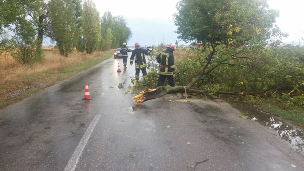 Fotó: ISU Arad